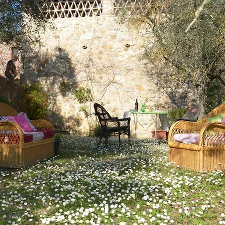 Parmolaina