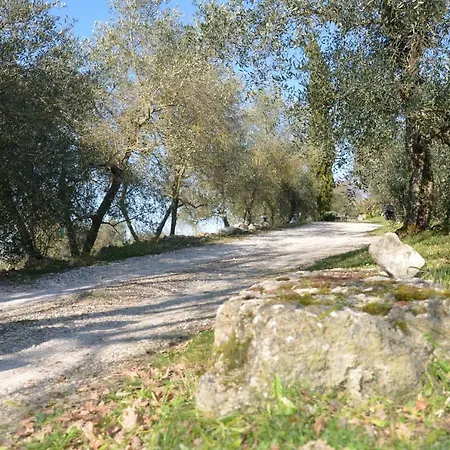 Parmolaina Ferienhaus Corsano (Tuscany)