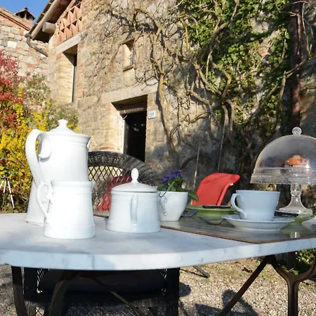 Parmolaina Corsano (Tuscany)